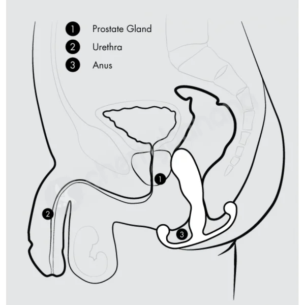 Aneros Eupho Trident White Male Prostate Massager