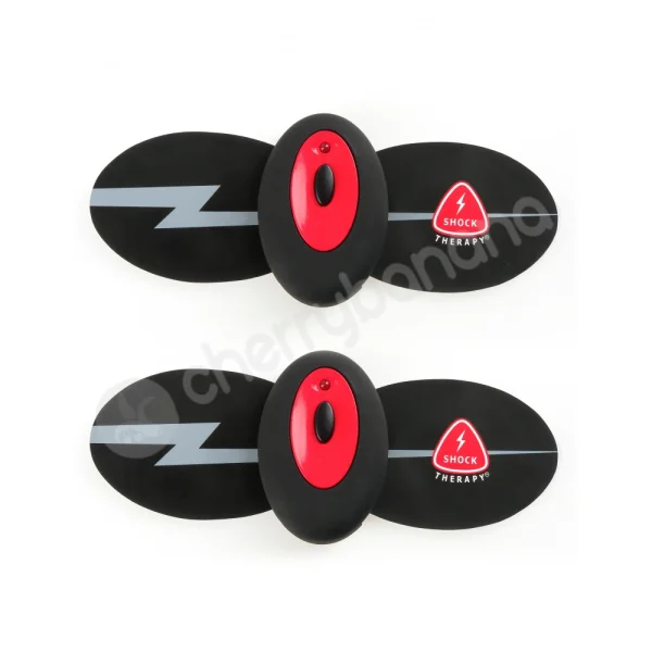 Fetish Fantasy Series Shock Therapy Professional Wireless Electro-Massage Kit
