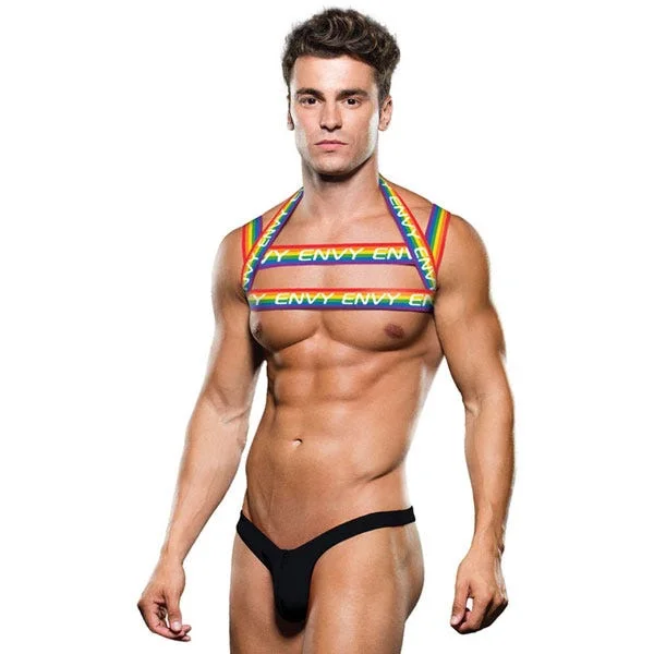 Envy Logo Rainbow Harness and Brief Set