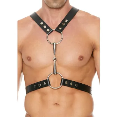 Leather Harness With Metal Bit
