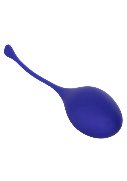 Kegel Training 5-Piece Set