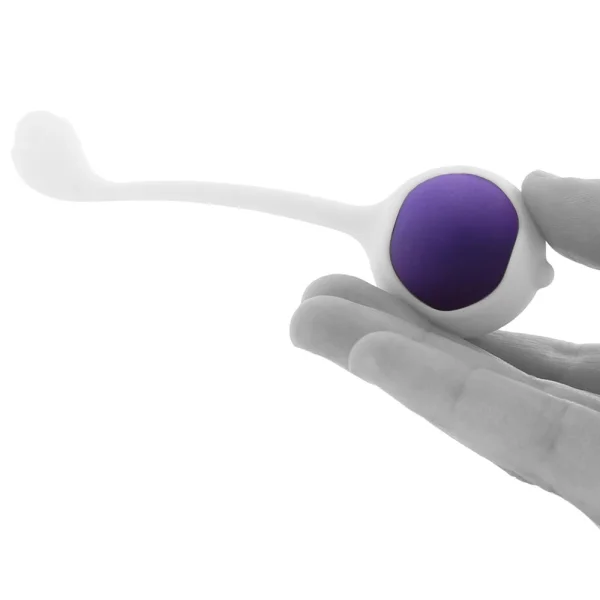 Blush Novelties Wellness 3-Step Progressive Kegel Training Kit