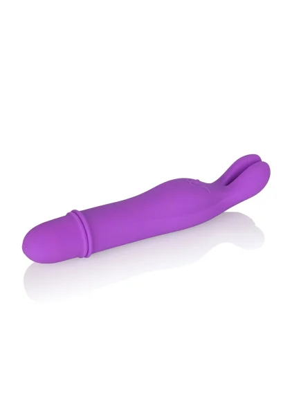 Shane’s World Bedtime Bunny