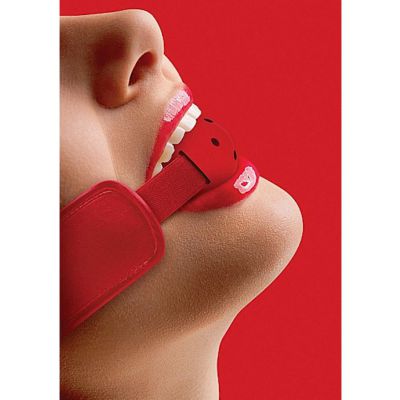Brace Ball Gag Red Red