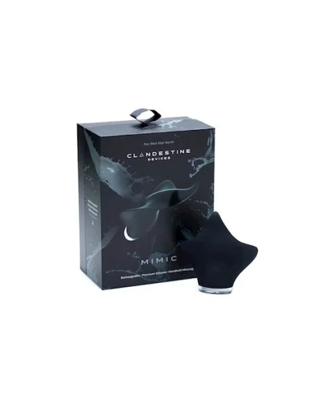Clandestine Devices Mimic Rechargeable Massager