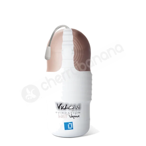 Fun Zone Vulcan + Vibration Wet Vagina Masturbator