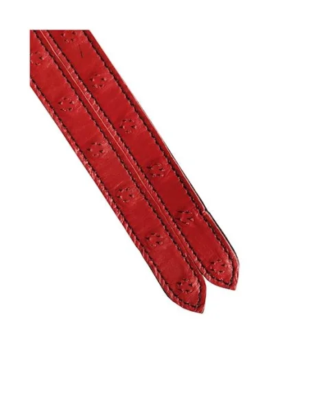 Bound X Spiked Leather Tawse