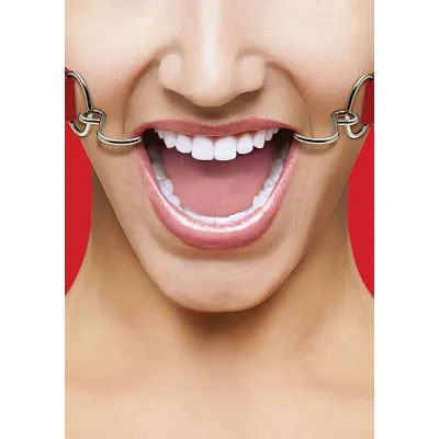 Ouch Hook Gag with Leather Straps O S