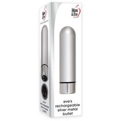 Silver Metal Bullet Vibrator