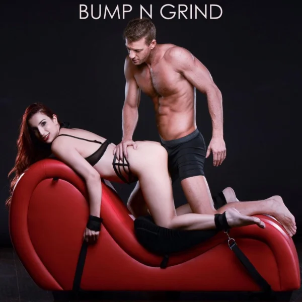 Kinky Couch Sex Chaise Lounge — image 5 of 8