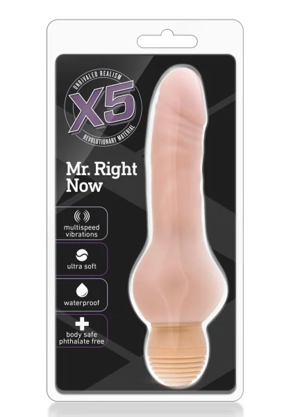 X5 Mr. Right Now - Vanilla
