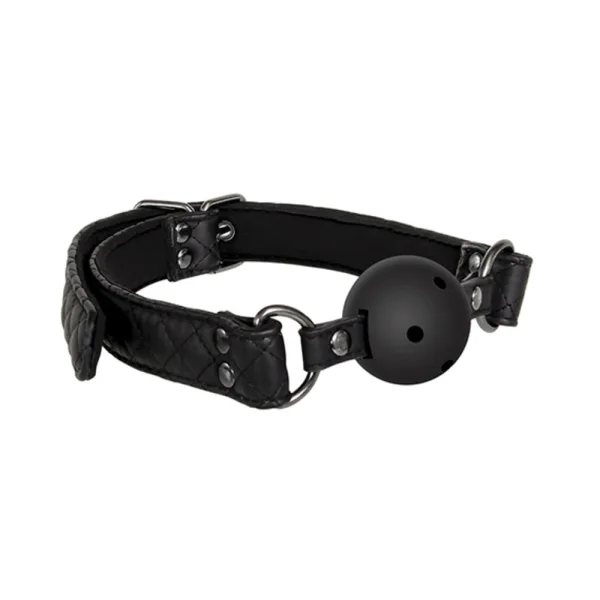 A&e Eve's Fetish Dreams Ball Gag