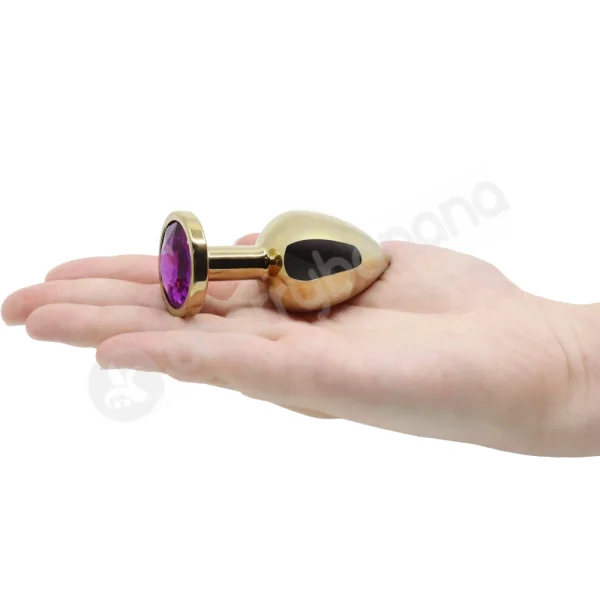 Hidden Treasures Gold & Purple Gem 2.9" Butt Plug