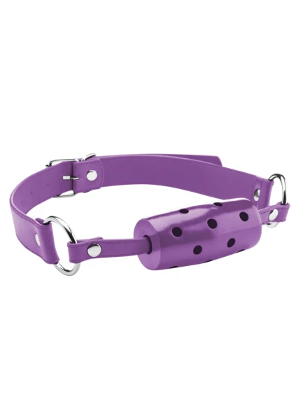 Cylinder Gag - Purple -