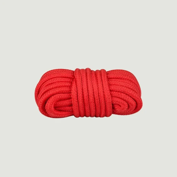 Secret Pleasure Chest Red Dragon Bondage Set