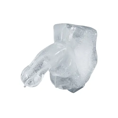 Huge Penis Freeze at Home Ice Luge Kit