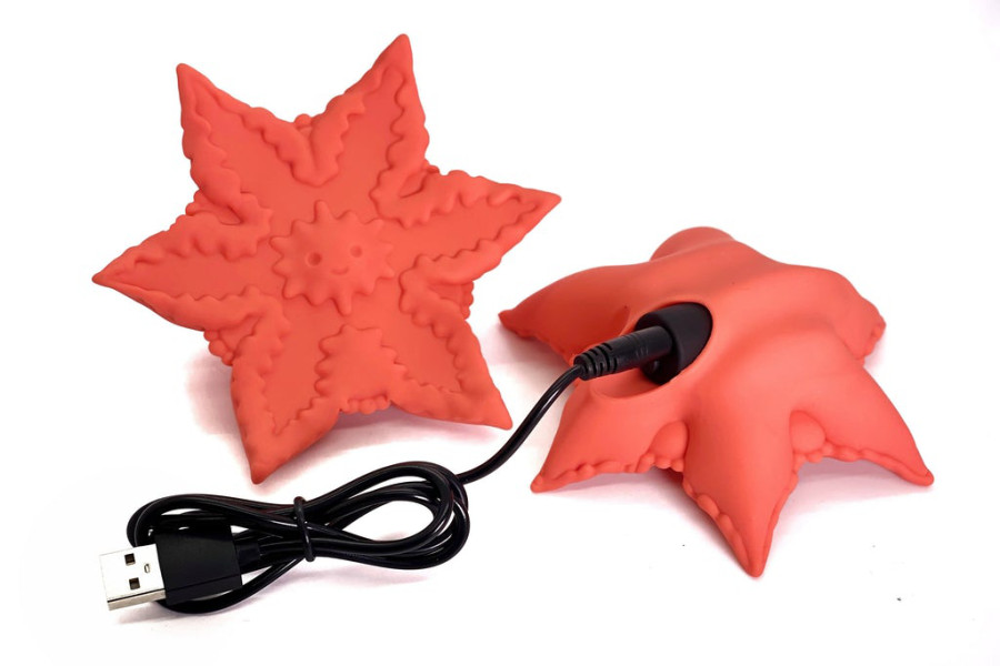 Starsi - Cute Little Fuckers