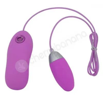 Purple Dual Layer Vibrating Bullet