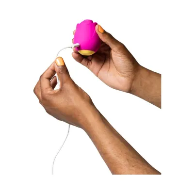 Clit Suckers ROMP Rose Rechargeable Silicone Pleasure Air Clitoral Vibrator Pink