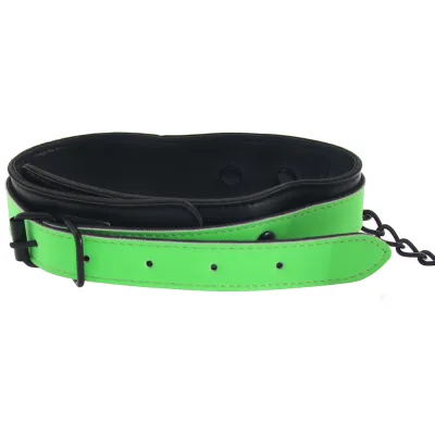Ouch Glow In The Dark Collar and Leash