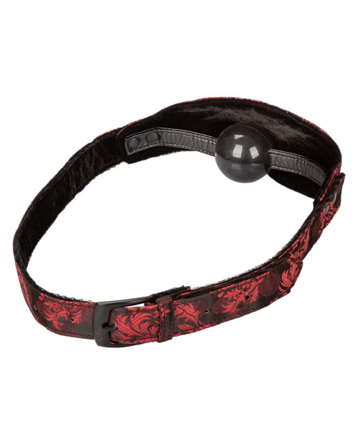 Scandal Hidden Pleasure Ball Gag