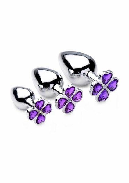 Violet Flower Gem Anal Plug Set - 3 pieces - Silver - Glass Butt Plug