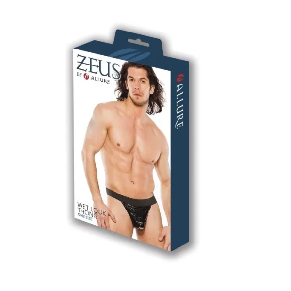 Allure Lingerie Zeus Wet Look Thong One Size