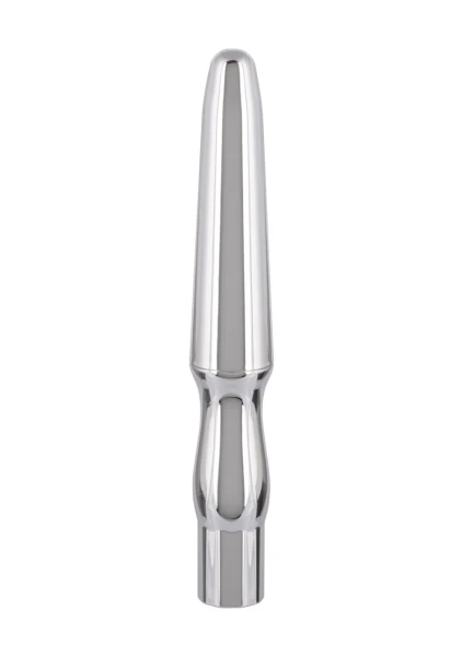 Rechargeable Anal Probe in Silver