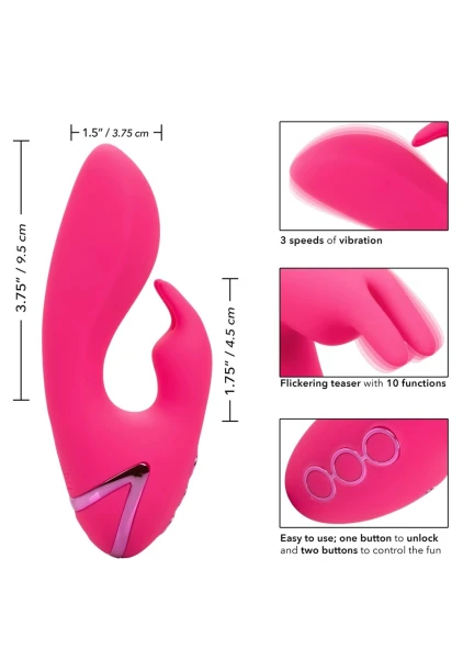 California Dreaming So. Cal Sunshine