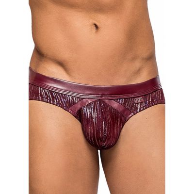 Insert Bikini Burgundy Small Hot Men