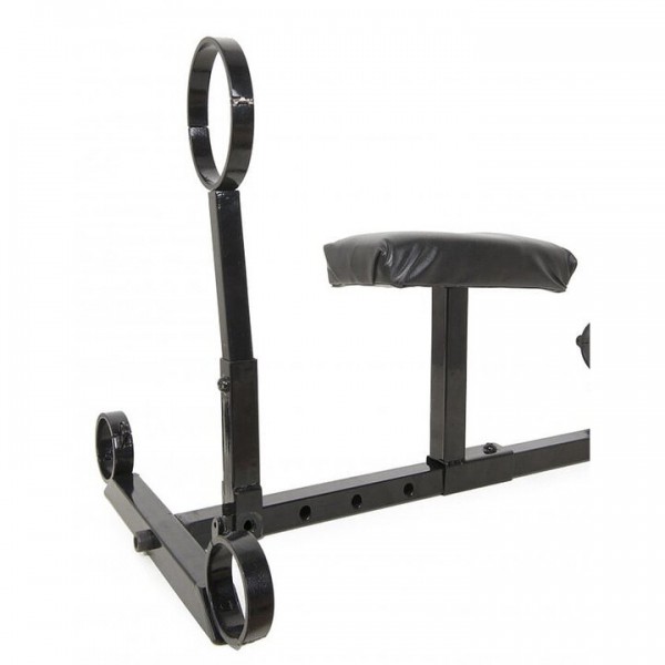 Torment Stainless Steel Prison Stockade With F*cking Rod