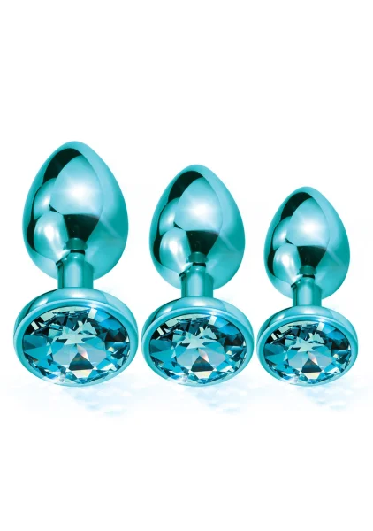 Nixie Metal Butt Plug Trainer Set