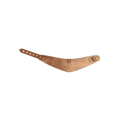 Look at Me Posture Collar Bronze Fetish Sex Toys