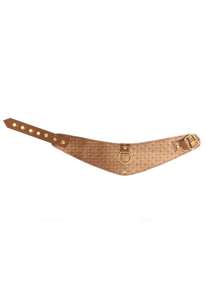 Look at Me Posture Collar - Bronze - Fetish Sex Toys