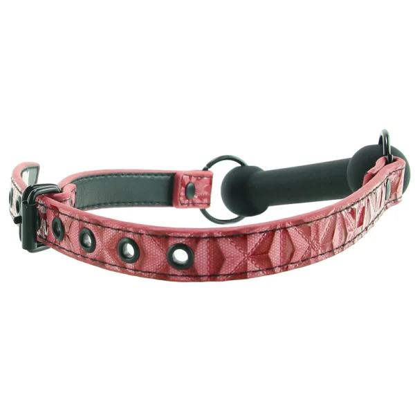 Sinful Bar Gag