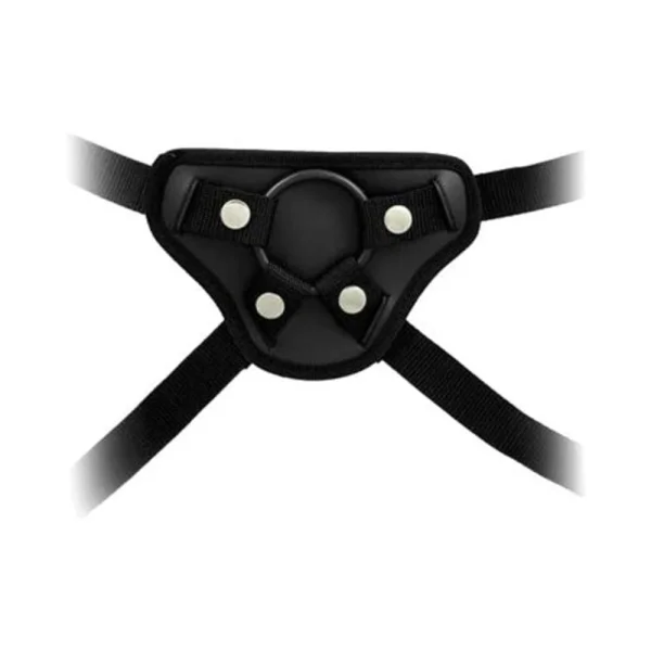 Harness The Revolution
