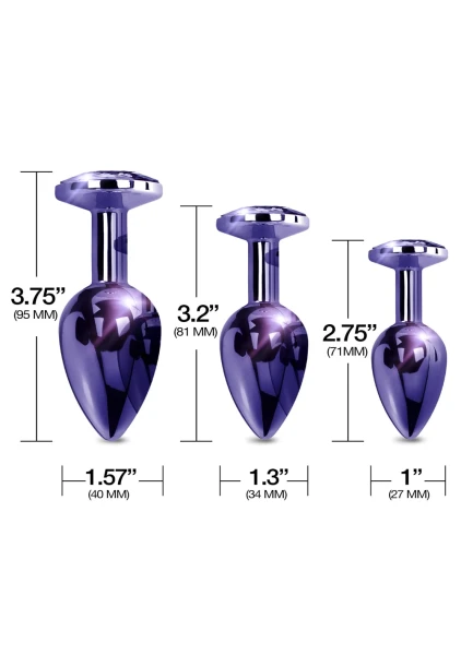 Nixie Metal Butt Plug Trainer Set