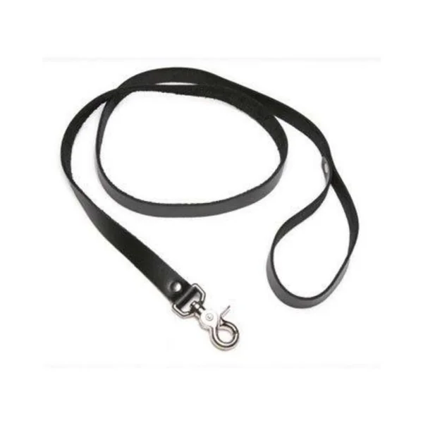 Strict 4 Foot Leash