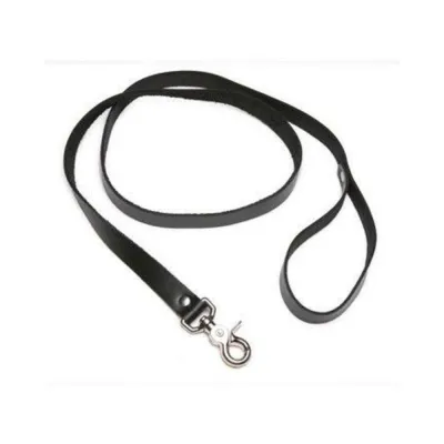 Strict 4 Foot Leash