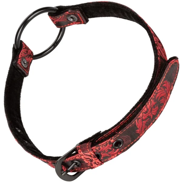 CalExotics Scandal Wide Open Mouth Gag