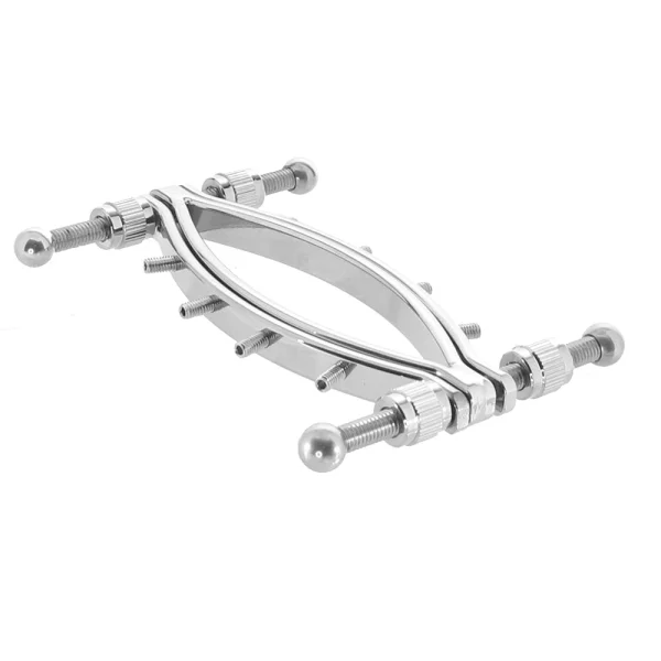 Stainless Steel Labia Clamp - BDSM Pussy Spreader