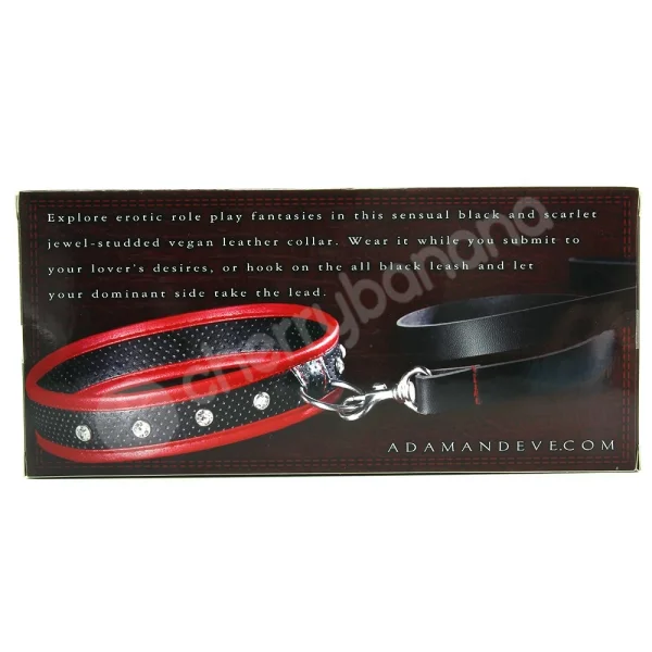 Scarlet Couture Collar & Leash