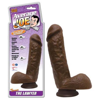 Average Joe Terrence The Lawyer