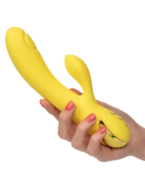 California Dreaming San Diego Seduction