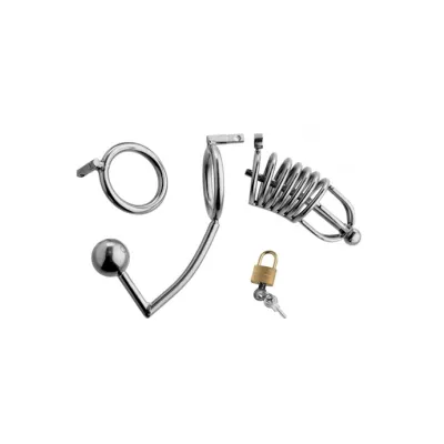 Condemned Cage With Anal Insertion Silver