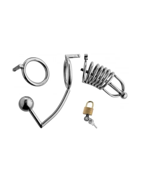 Condemned Cage With Anal Insertion - Silver