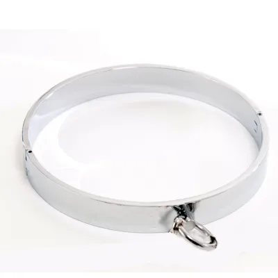 Rapture Novelties Polished Stainless Steel Collar