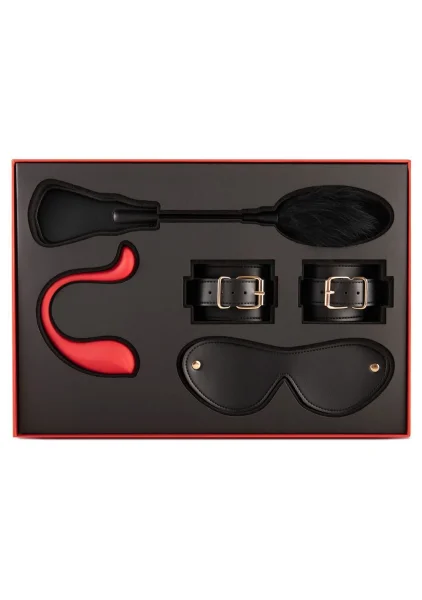Svakom BDSM Unlimited Pleasure Kit
