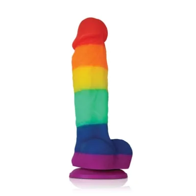 Colours Pride Edition 5 inch Silicone Dildo
