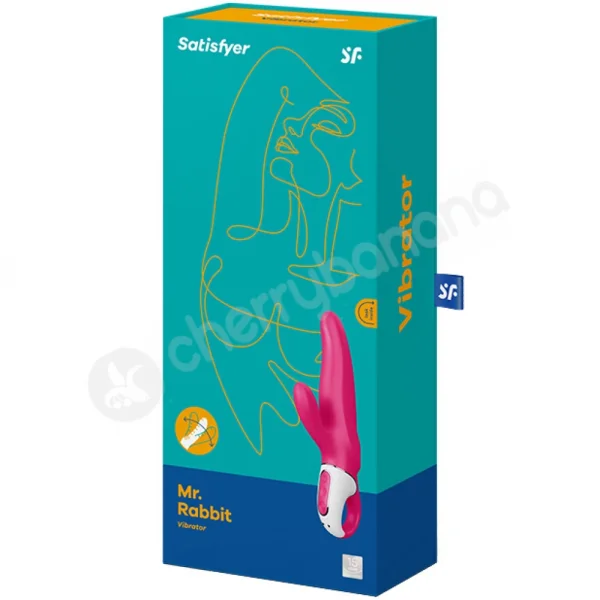 Satisfyer Mr. Rabbit Vibrator